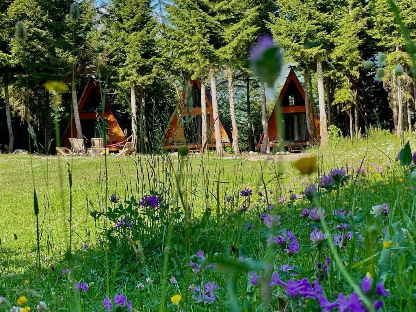 Bude Mestia Cottages מראה חיצוני תמונה